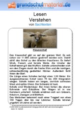 Hausschaf - Sachtext.pdf